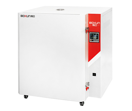 BGG-149高溫鼓風(fēng)干燥箱 BGG-149高溫鼓風(fēng)干燥箱